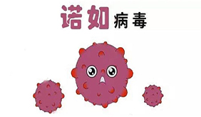 &#122;&#111;&#116;&#121;&#20013;&#27431;